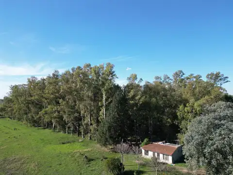 CAMPO EN CAMPANA RUTA 100