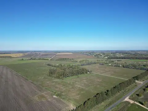 Campo sobre Ruta en Campana