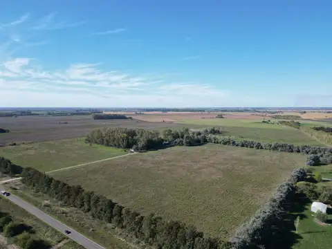 Campo sobre Ruta en Campana