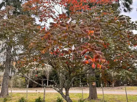 Terreno en Venta en Coronel Brandsen, USD 65.000