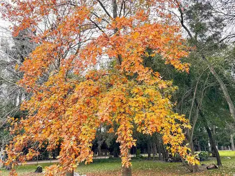 VENTA LOTE EN BARRIO CERRADO LAS MALVINAS II