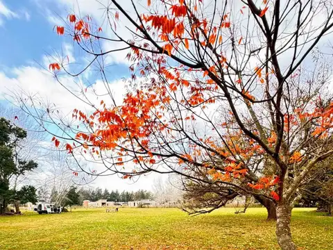 Terreno en Venta de 5283,0 m2