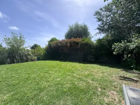 Haras Santa Maria Los Eucaliptos 100