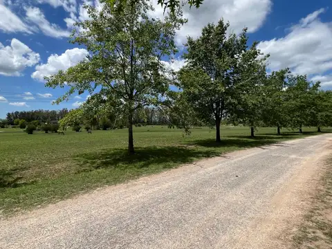 Terreno en Chacras de la Cruz