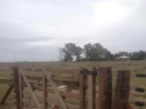 Terreno en Venta en Chascomus, USD 35.000