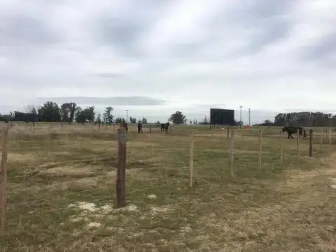 Terreno en Venta 66  mts Fondo