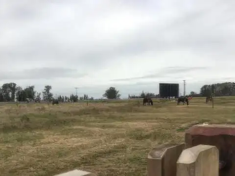 Terreno en Venta de 5660,0 m2