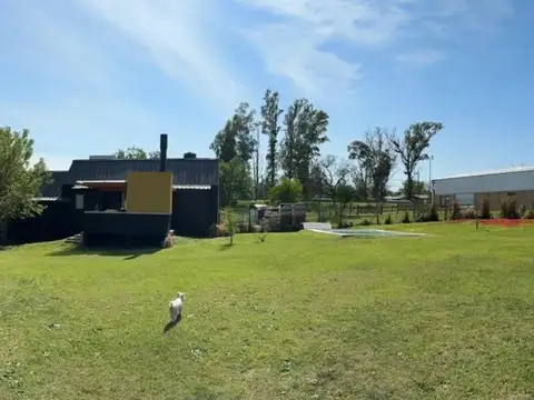 Avenida Esteban Lonne 1200