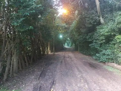 Barrio Monteverde - Los Cardales