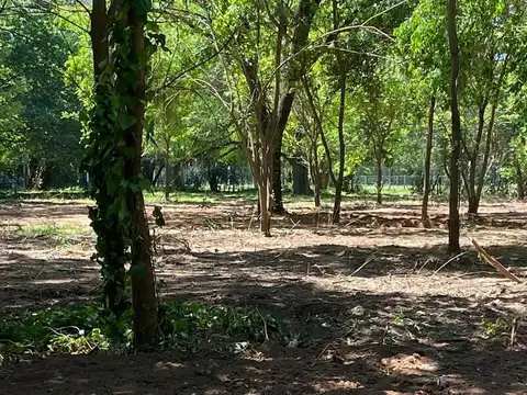 Terreno en Venta en Loma Verde, USD 290.000