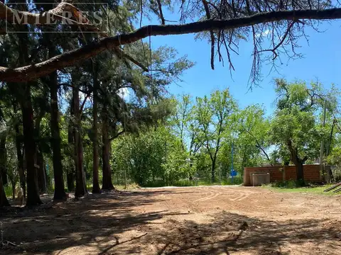 Terreno en Venta de 5000,0 m2