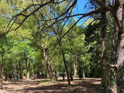 Lotes en venta en Los Fresnos al 600, entre Los Abedules y Congreve, Loma Verde