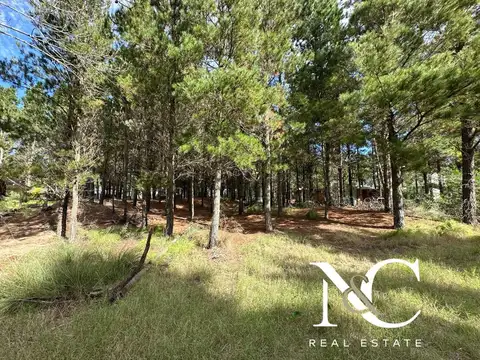 Terreno en Venta 48  mts Fondo