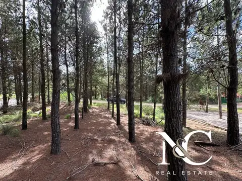 Terreno en Venta de 917,0 m2