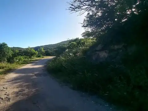 Terreno en Venta de 350,0 m2