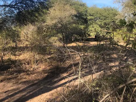 Campo en Venta de 2.500  ha