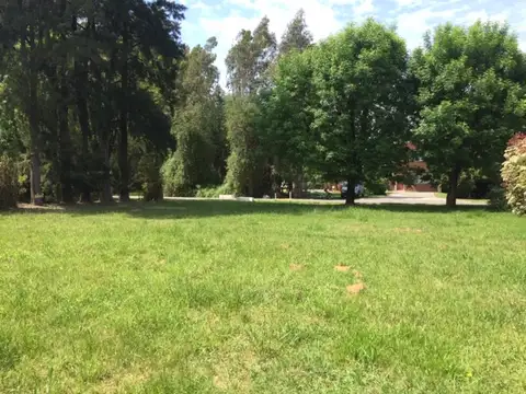 INTERESANTE LOTE EN COUNTRY