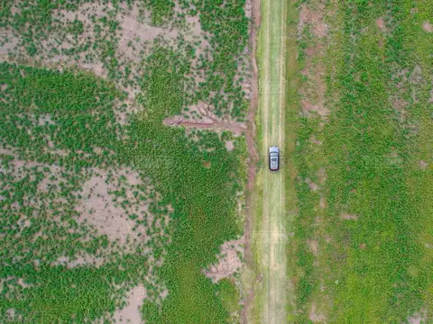 Ruta Nacional 8 KM 79