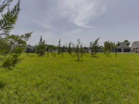 Terreno en Venta 40  mts Fondo