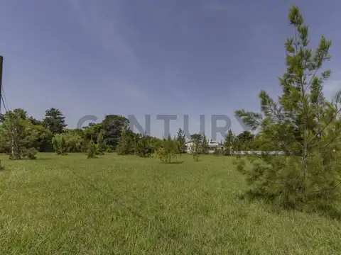 Terreno en Venta 12  mts Frente