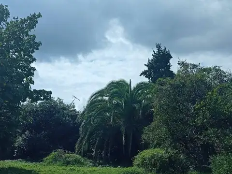 Avenida Julian María Castro 100