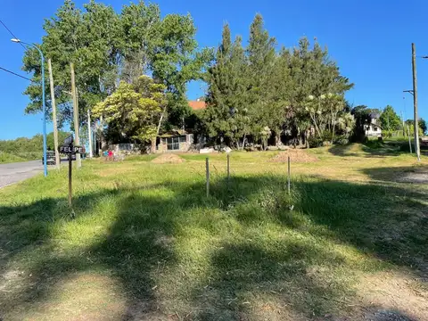 General San Martin y felipe