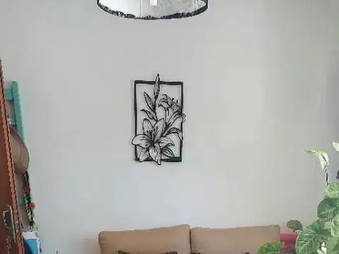 Departamento en Alquiler 11 años