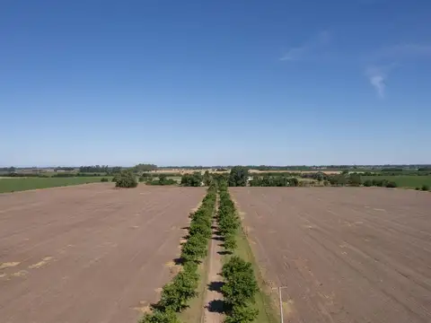 Campo en venta 25ha en San Andres de Giles