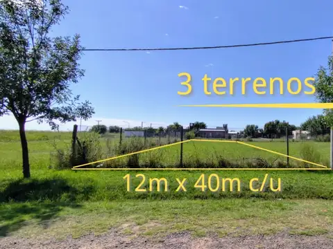 Los Sauces cerca Teruggi 100