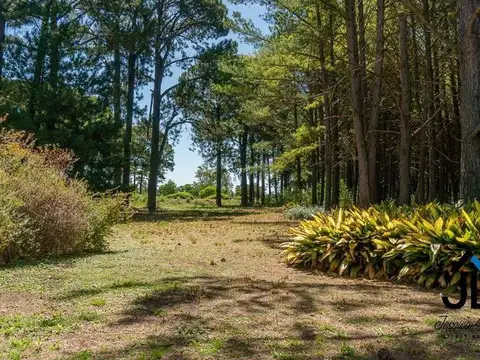 Terreno en Venta de 1620,0 m2