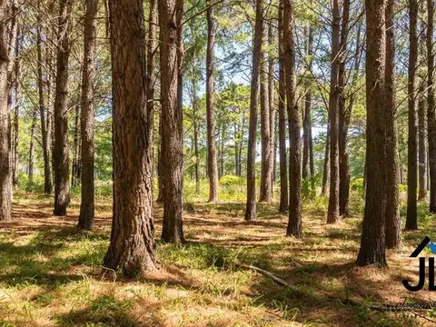 Terreno en Venta 32  mts Frente