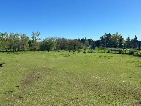 Terreno en Venta en Zarate, USD 2.500.000