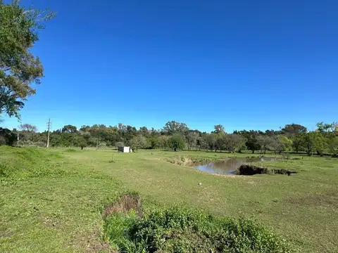 Terreno en Venta de 67799,0 m2