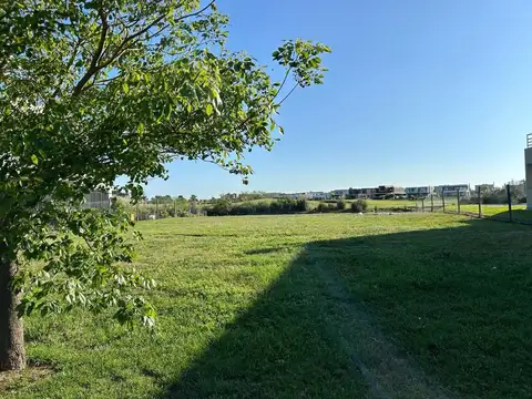 Terreno en Venta de 81262,0 m2