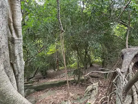 Terreno en Venta de 7394,0 m2