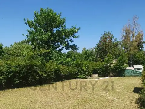 belgrano y rio negro , Piso 0