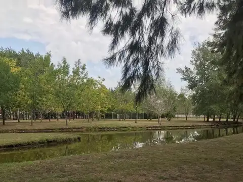 Terreno en Venta de 1000,0 m2