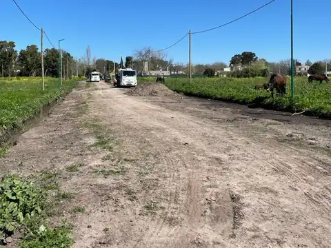 453 e/ 26 y 27 - LOTE (CITY