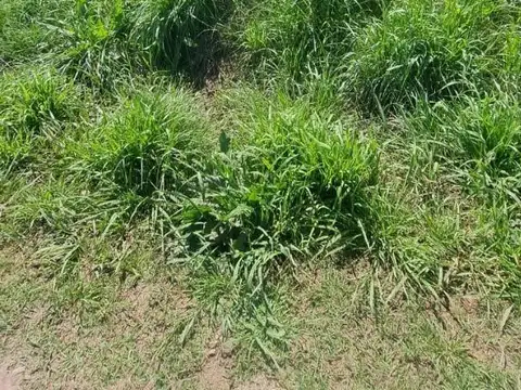 Lote en venta en Cañuelas