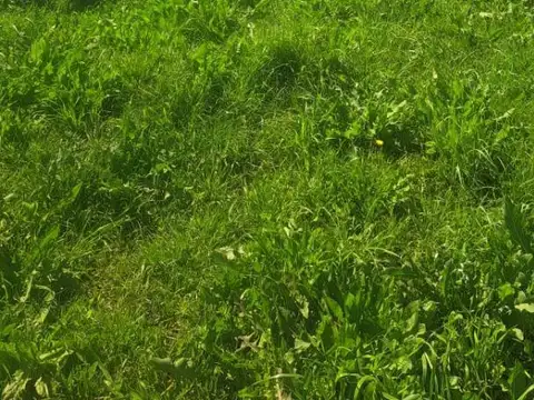 Terreno en Venta en Cañuelas, USD 27.000