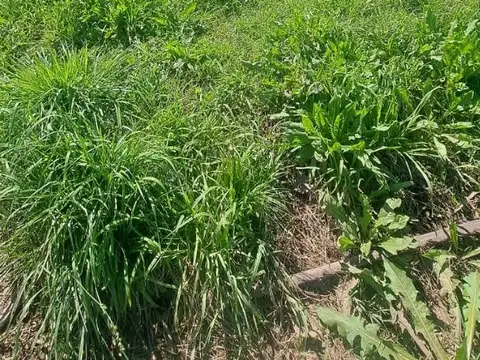 Terreno en Venta, FOS 0,6