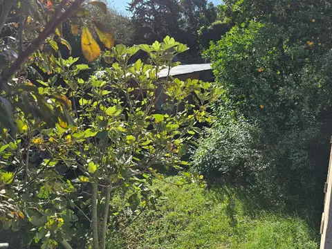 Quinta en Venta en Aldea Brasilera, USD 60.000