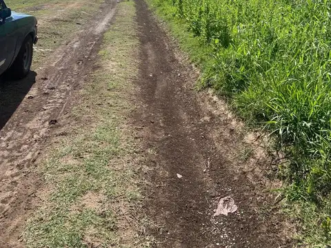 Camino Rural Campo Soso