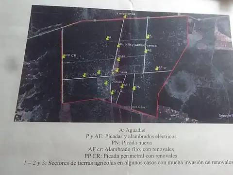 Campo de 811 hectareas en La Gallareta