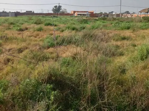 La Campiña III, Zarate 100