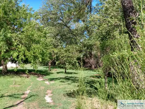 Terreno en Venta 50  mts Fondo