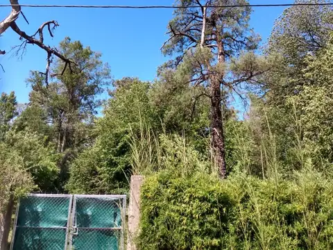 Terreno en Venta de 3750,0 m2