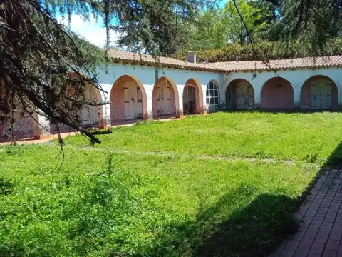 Venta Campo 78 Has Brandsen Casa Colonial 900 m² Pileta Silos Corrales