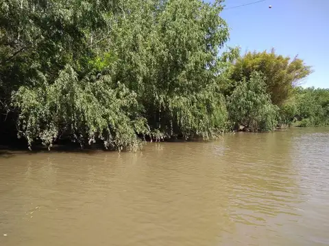 Rio / Arroyo Las Cañas 100
