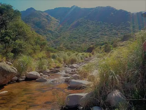 Ruta 1 Km23 - Cortaderas